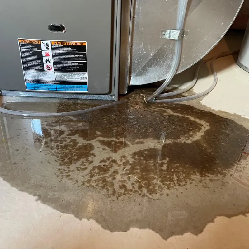 Appliance Leak Cleanup in Bondsville, MA